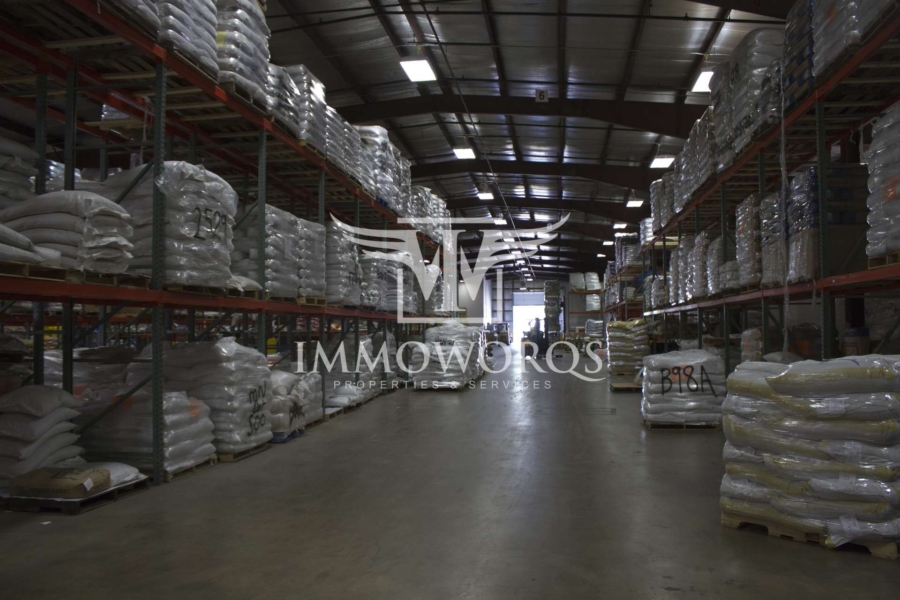 Bestandshalle **Produktions-/ Lager-/Logistikflächen** Provisionsfreie Vermietung - Ansicht (23921)