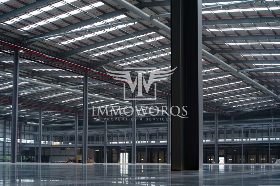 Neubauprojekt -Ideale Produktions-/ Logistikhalle- **provisionsfreie Vermietung** - Ansicht (23919)