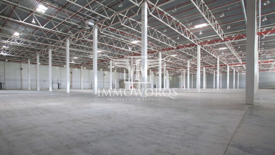 Neubauprojekt-Produktions-/Lagerhalle**provisionsfreie Vermietung** - Ansicht (23980)