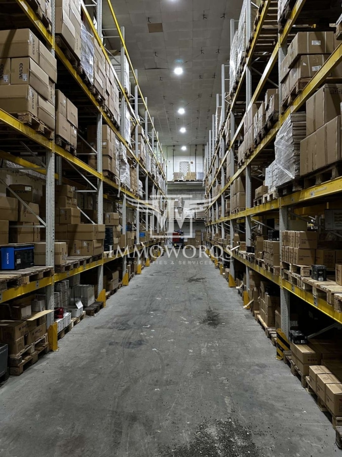 Logistik-/Lagerhalle **provisionsfreie Vermietung** - Hochregallager (24397)