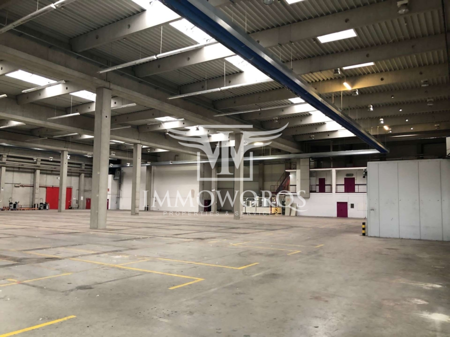 Bestandshalle **Produktions-/ Lager-/Logistikflächen**provisionsfreie Vermietung** - Hallenansicht (24007)