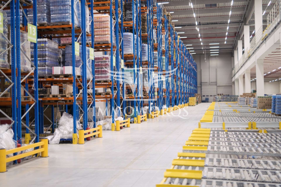 Neubauprojekt Produktions-/Lagerhalle**provisionsfreie Vermietung** - Ansicht (23968)