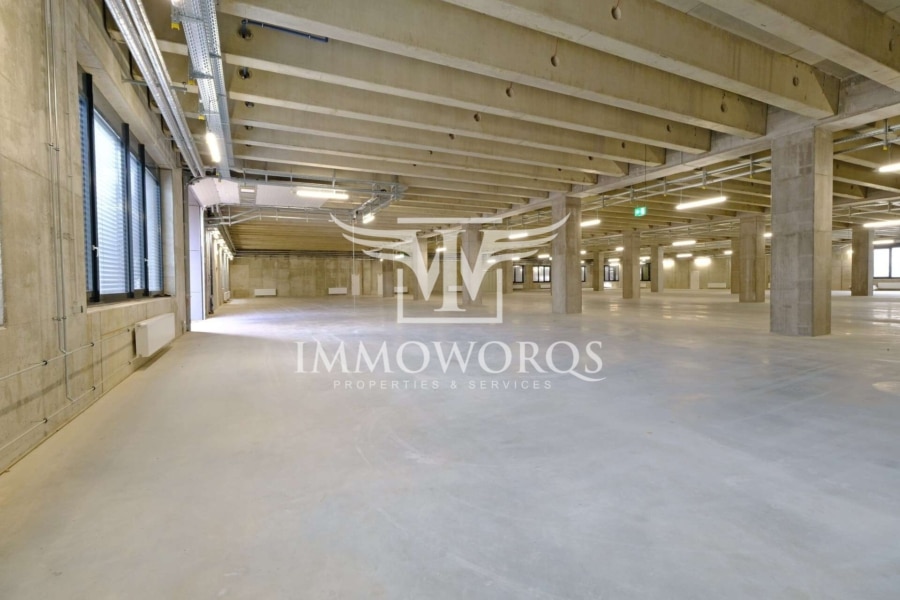 Kurzfristig beziehbare Neubauhalle / Lager-/ Produktionshalle *provisionsfreie Vermietung* - Halle (24634)