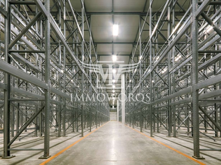 Neubauhalle **Produktions-/ Lager-/ Logistikflächen **provisionsfreie Vermietung** - Ansicht (24708)